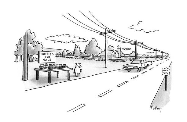 Pig Drawing - New Yorker May 6th, 1991 by Anthony Taber