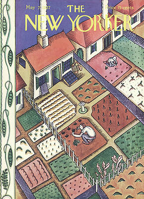 Colorful Suburban Garden Scene Wall Art