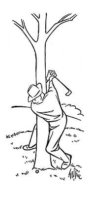 Golfer with Unfortunate Shot Drawing