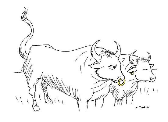 Nose Drawing - New Yorker November 7th, 1994 by Al Ross