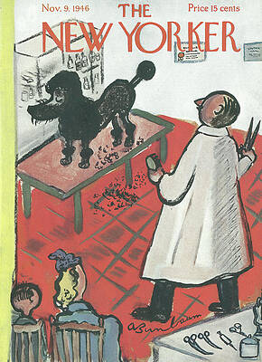 Grooming Day at the Barber Shop Wall Art