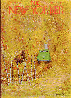 Autumn Drive through Golden Trees Wall Art