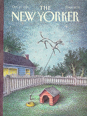 Leaping Dog in Starry Night Wall Art