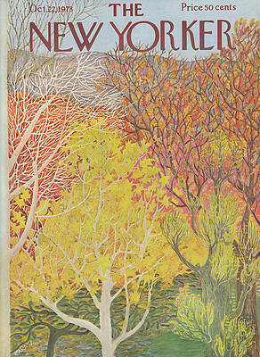 Autumn Forest Scene Wall Art