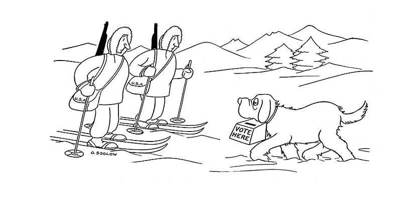 Skiers and Dog with Voting Box Drawing