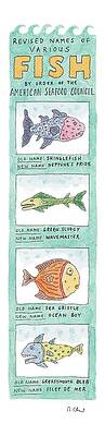 Humorous Fish Names Chart Drawing