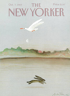 Flying Gull and Running Rabbit Painting