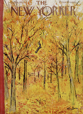 Autumn Forest Scene Wall Art