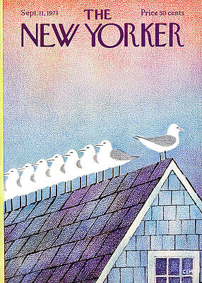 Seagulls Perched on a Colorful Roof Painting