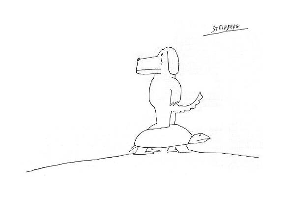 Dog Riding a Turtle Wall Art