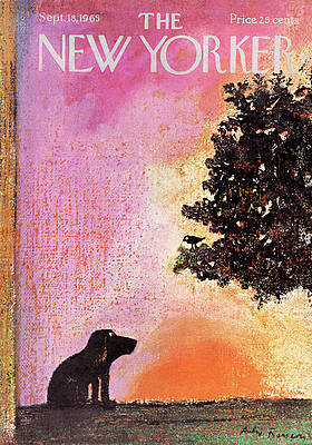 Dog at Sunset Wall Art