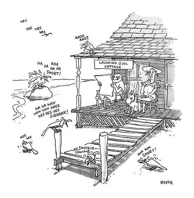 Laughing Gulls at Cottage Wall Art