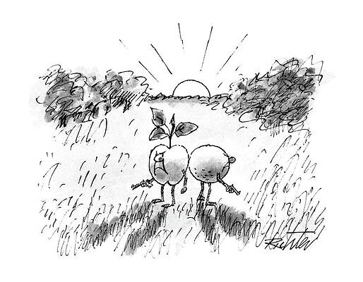 Sunrise Wall Art featuring the drawing New Yorker September 21st, 1987 by Mischa Richter