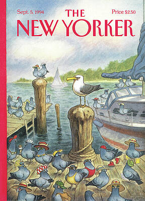 Seagulls on a Coastal Dock Wall Art