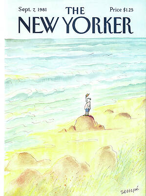 Coastal Solitude Wall Art