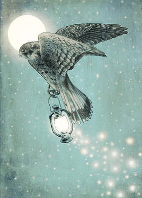 Hawk Carrying a Lantern at Night Wall Art
