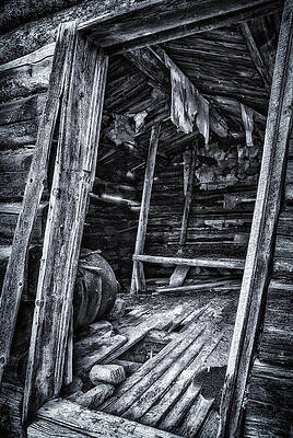 Montana Wall Art featuring the photograph No Place Like Home by Ghostwinds Photography