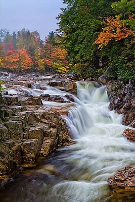 Fall Photograph - No Swimming Rocky Gorge Albany NH by Jeff Sinon