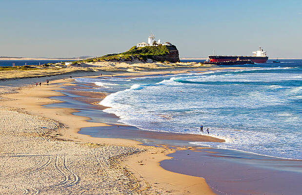 Beach Photograph - Nobby's Head 1 by Nicholas Blackwell