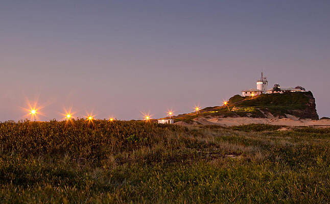 Beach Photograph - Nobby's Head 2 by Nicholas Blackwell