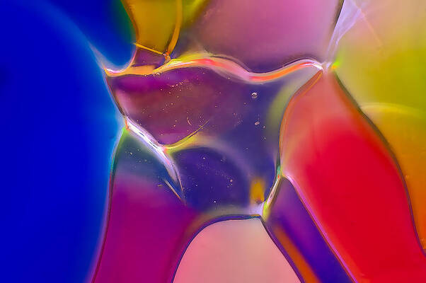 Photograph - Noble Colors by Omaste Witkowski