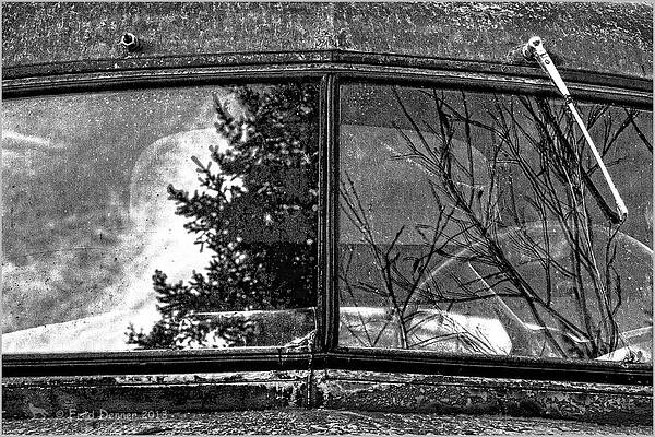 Photograph - Nobody's Truck Windshield by Fred Denner