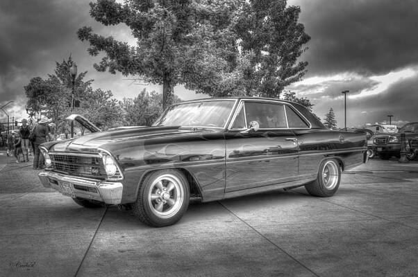 Show Wall Art featuring the photograph Nova BandW by Carla E