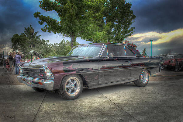 Show Wall Art featuring the photograph Nova In Color by Carla E