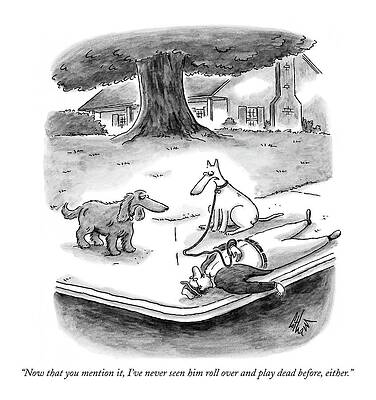 Dogs Discussing a Fallen Human Drawing