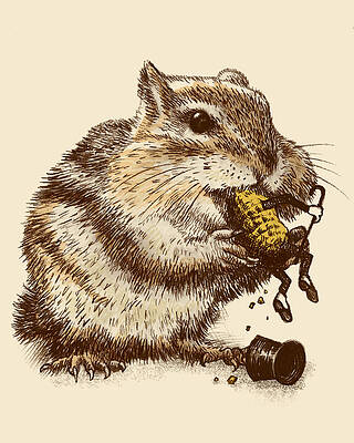 Chipmunk Enjoying a Snack Wall Art