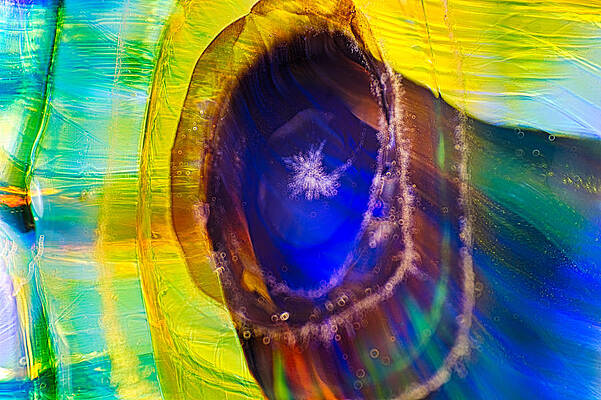 Wall Art featuring the photograph Oceanadelic by Omaste Witkowski