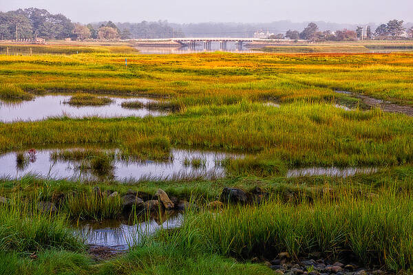 Odiorne Salt Marsh Misty Morning Light by Jeff Sinon