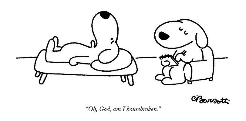 Humorous Dog Therapy Session Print