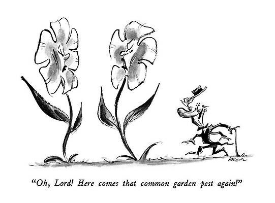 Gardening Drawing - Oh, Lord!  Here Comes That Common Garden Pest by Lee Lorenz