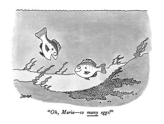 Near Wall Art featuring the drawing Oh, Maria - So Many Eggs! by Jack Ziegler