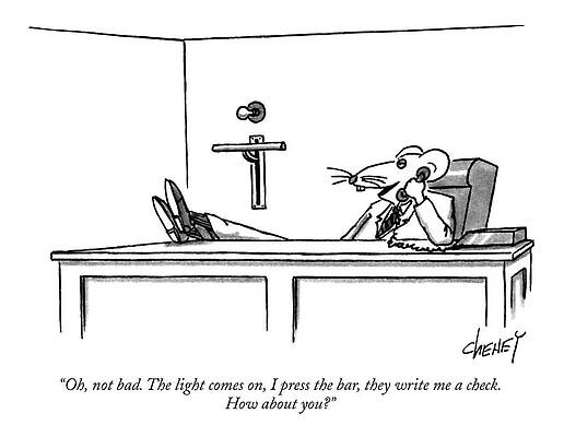 Business Mouse Cartoon Drawing