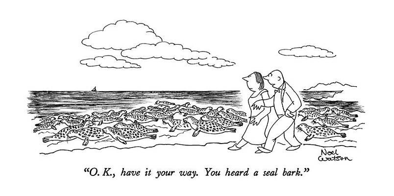 Walking Drawing - O.k., Have It Your Way.  You Heard A Seal Bark by Noel Watso