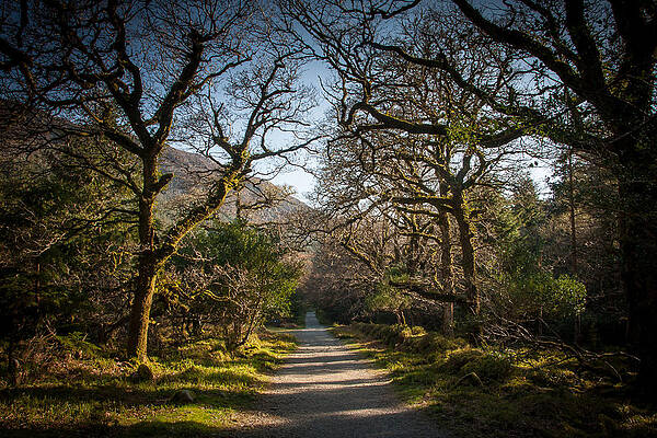 Ireland Wall Art featuring the photograph Old Kenmare Road Start by Mark Callanan