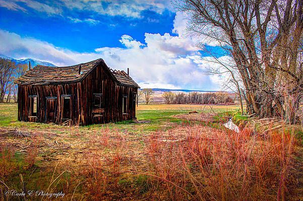 Wall Art featuring the photograph Old Old House 1 by Carla E