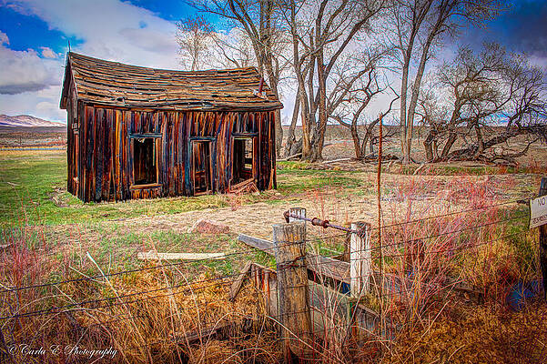 Wall Art featuring the photograph Old Old House With Irrigation by Carla E