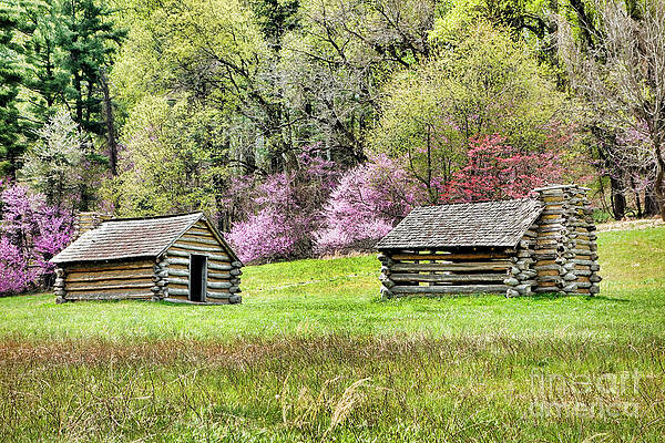 Historic Log Cabins in Spring Meadow Photograph