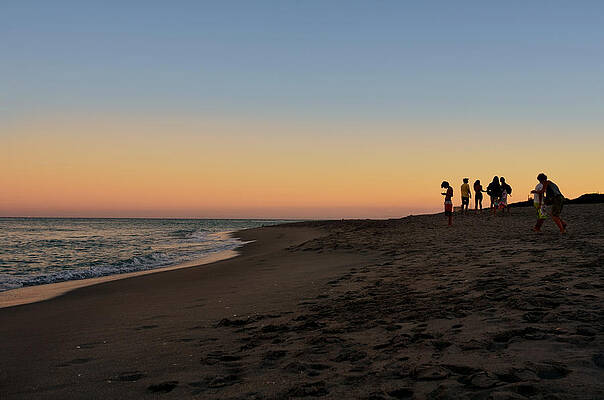 Serene Wall Art featuring the photograph On Planet Earth by Laura Fasulo
