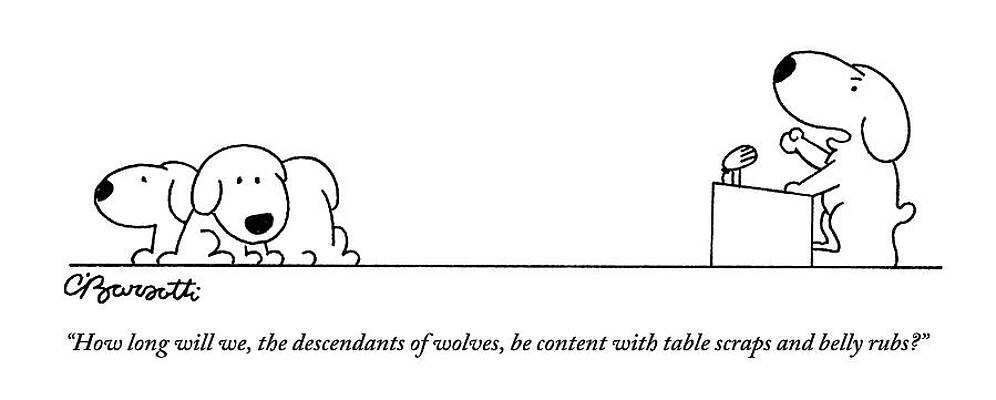 Dogs Question Their Ancestry Wall Art