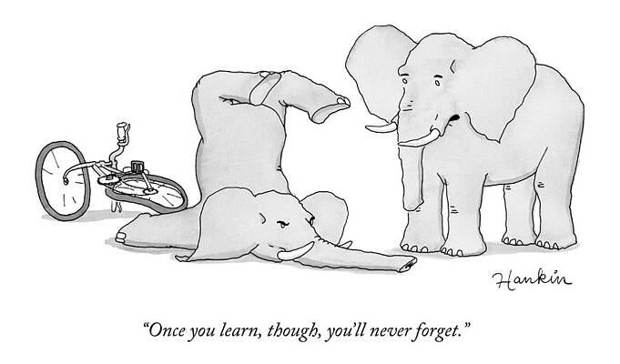 Memory Wall Art featuring the drawing One Elephant Says To Another Elephant Who by Charlie Hankin