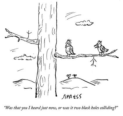 Wildlife Drawing - Or Was It Two Black Holes Colliding by David Sipress