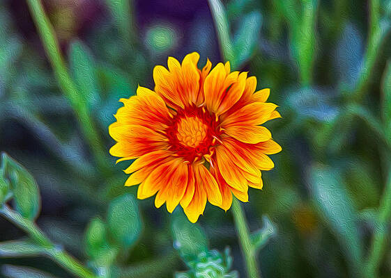 Spring Painting - Orange And Yellow Delight by Omaste Witkowski