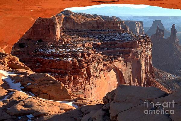 Wall Art featuring the photograph Orange Highlights by Adam Jewell