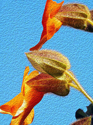 Sky Wall Art featuring the photograph Orange Is The New by Joe Schofield