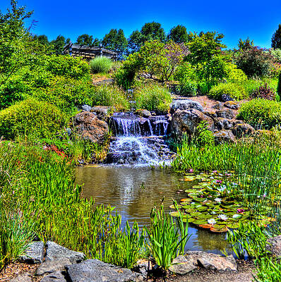 Oregon Wall Art featuring the photograph Oregon Garden Pond by Jonny D