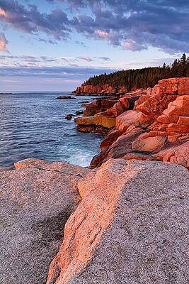 Photograph - Otter Cliffs At First Light by Jeff Sinon
